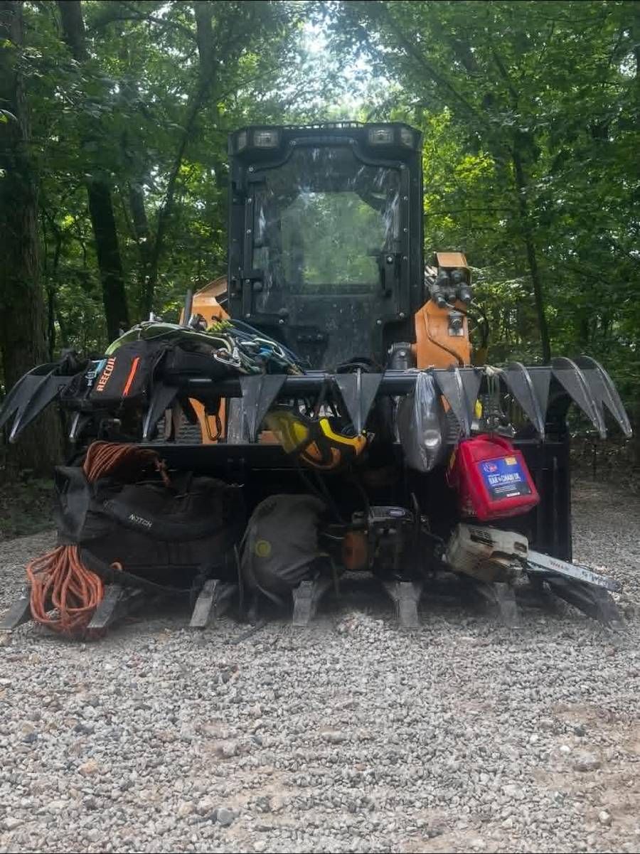 Rigged and loaded — saws, ropes and climbing kit