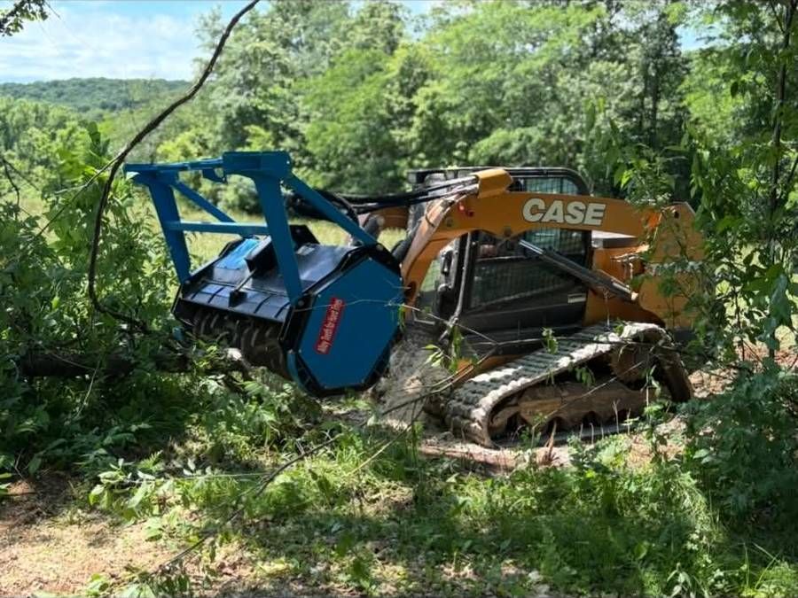 Mulching head clearing overgrown timber